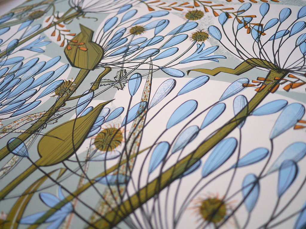 Agapanthus II - A/P - Angie Lewin - St. Jude's Prints