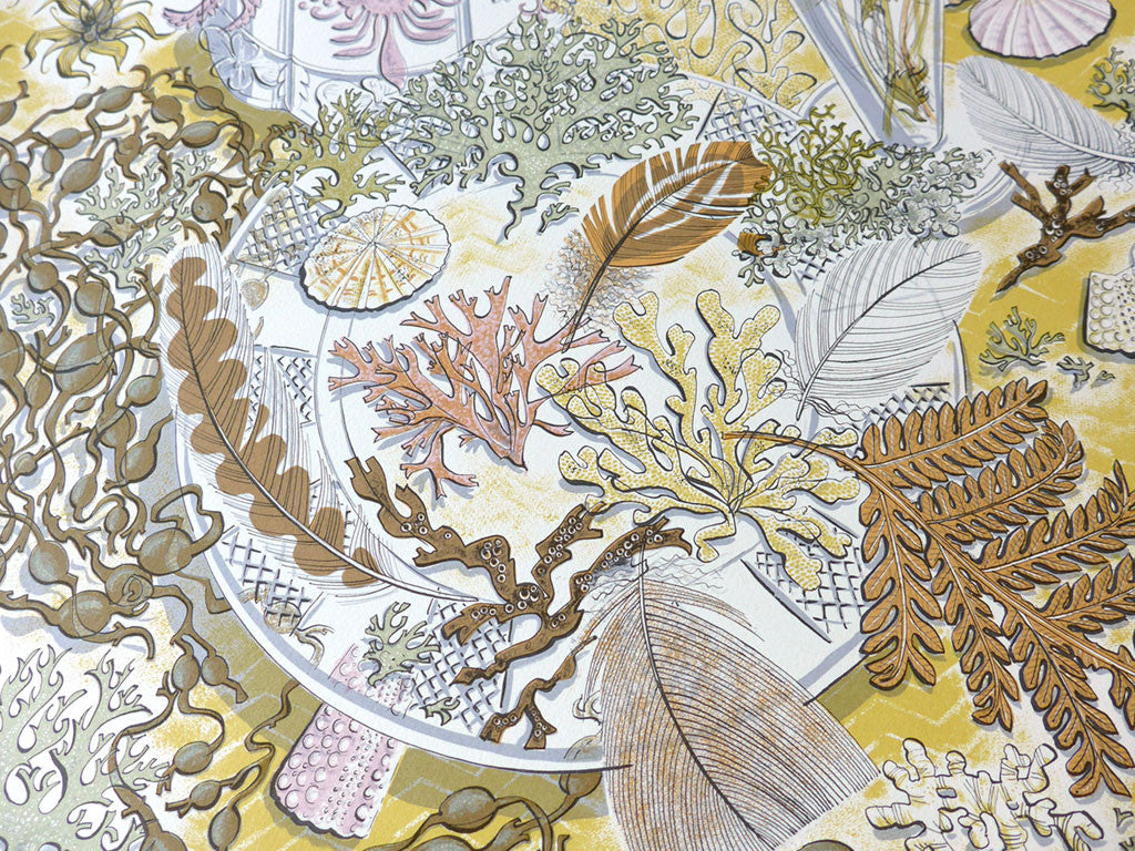Nature Study, Late Summer - Angie Lewin - St. Jude's Prints