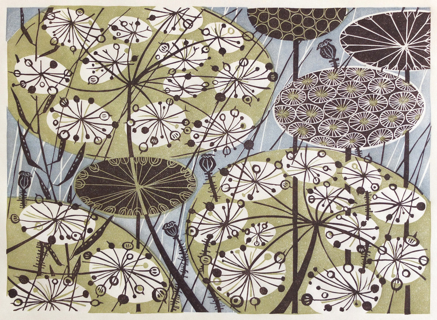 Seedheads II - Angie Lewin - St. Jude's Prints