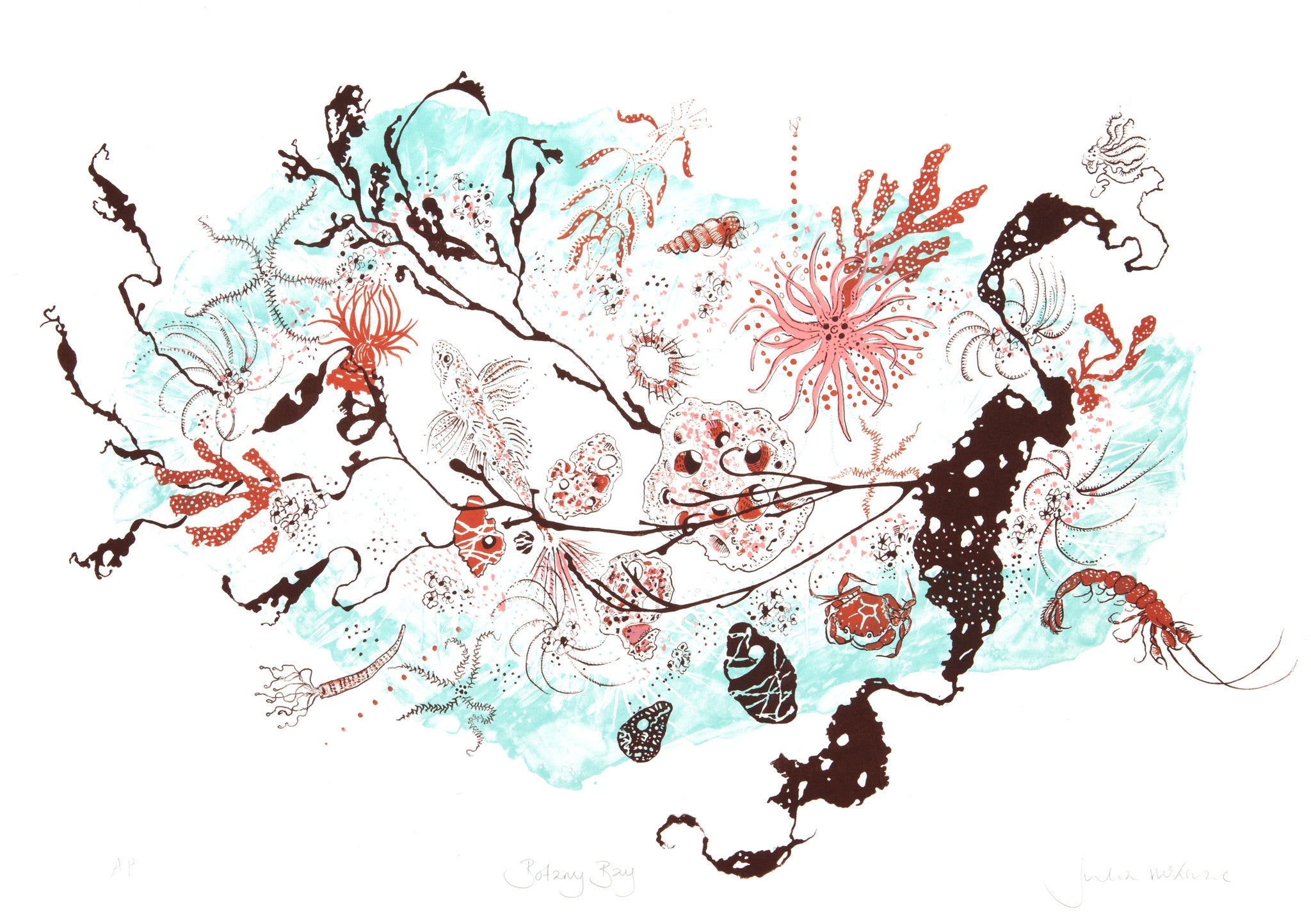 Botany Bay - Julia McKenzie - St. Jude's Prints