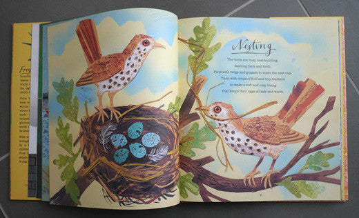 A First Book of Nature - Mark Hearld - St. Jude's Prints