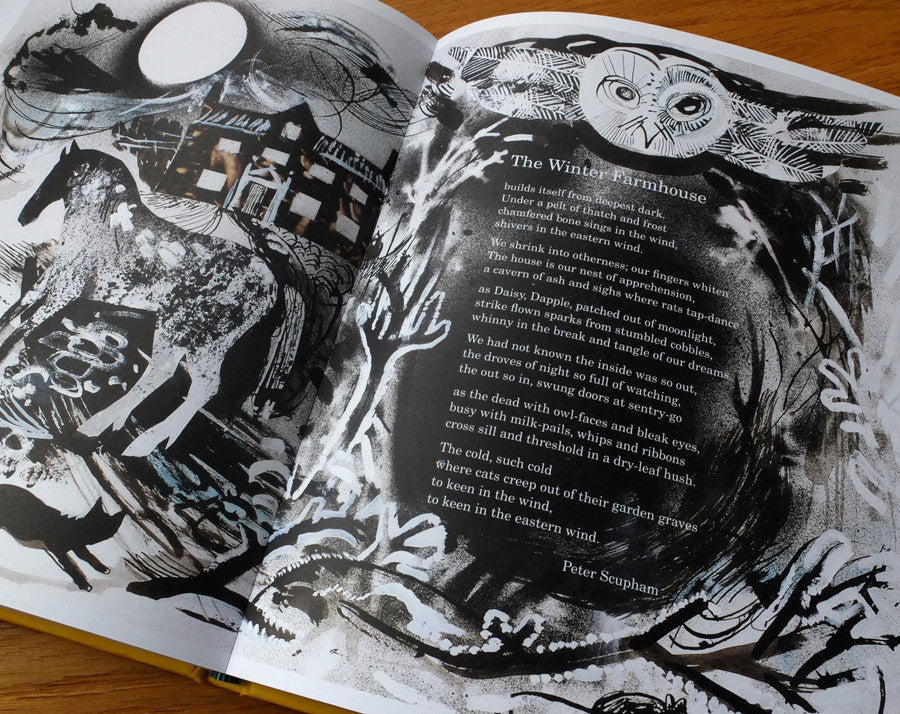 Mark Hearld's Work Book - Mark Hearld - St. Jude's Prints