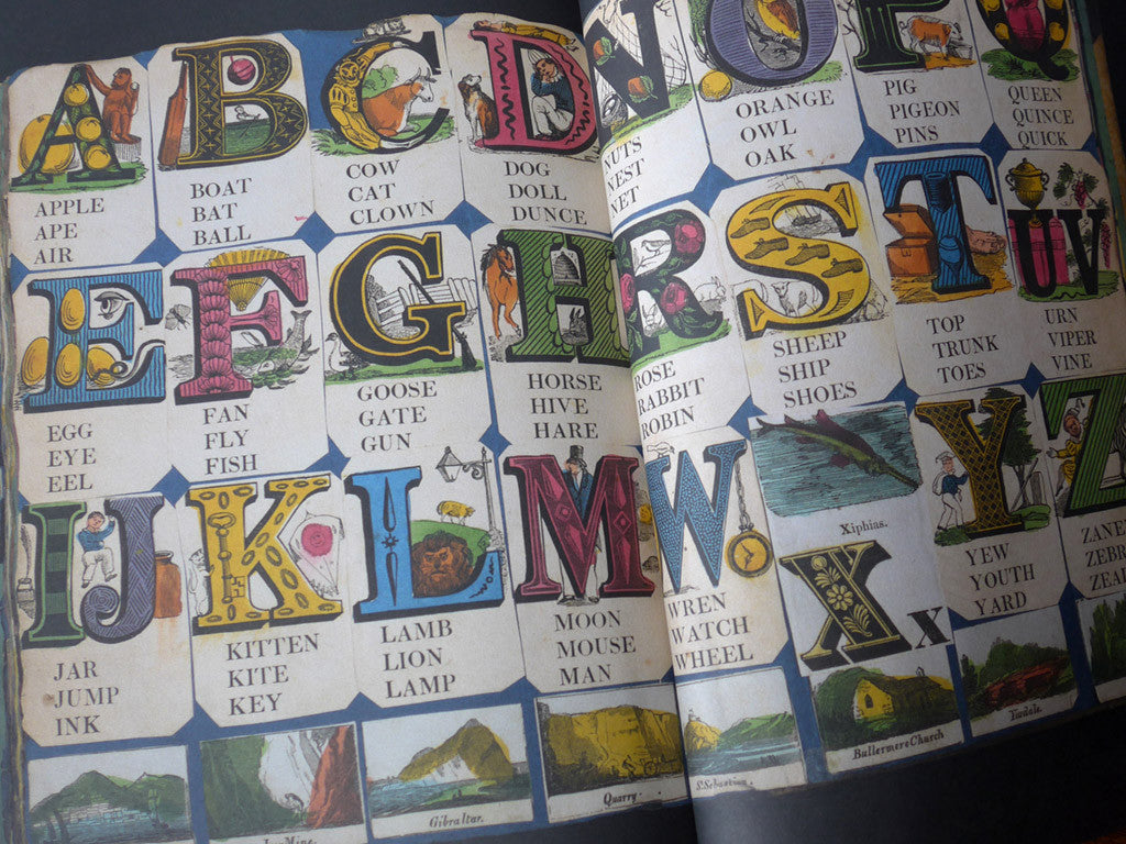 The Lumber Room: Unimagined Treasures - Mark Hearld - St. Jude's Prints