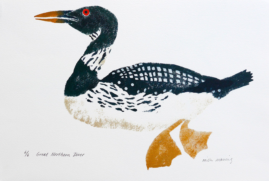 Great Northern Diver 6/6 - Mick Manning - St. Jude's Prints