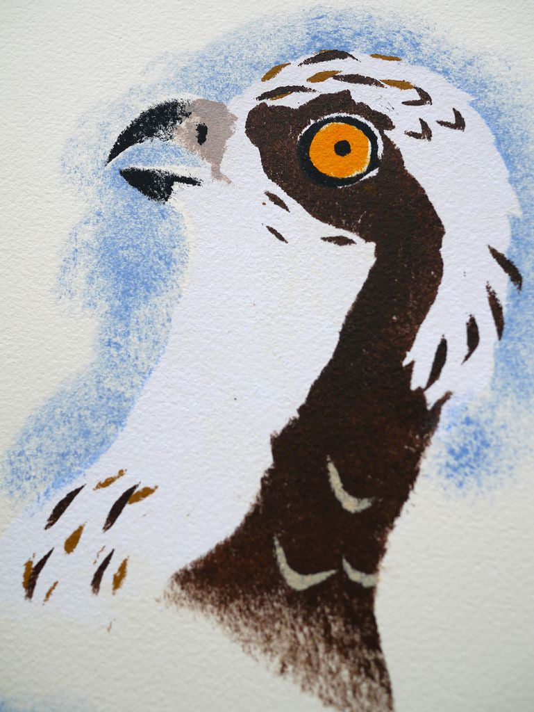 Osprey Faces 7/7 - Mick Manning - St. Jude's Prints