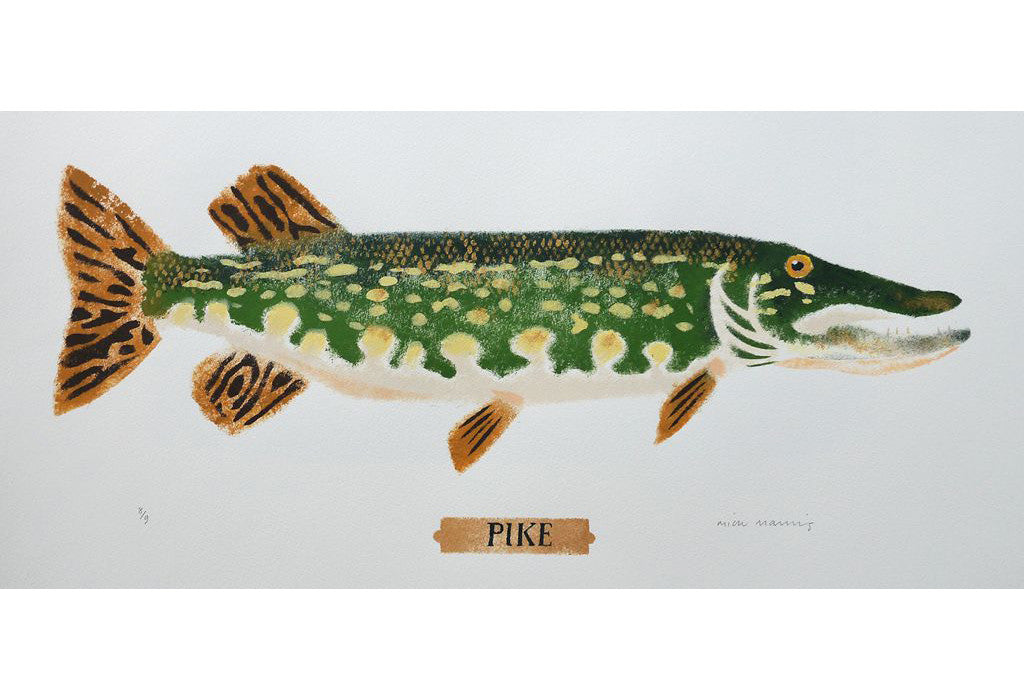 Pike 8/9 - Mick Manning - St. Jude's Prints