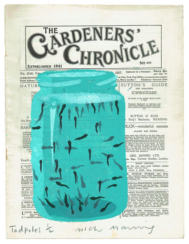 Tadpoles 1/2 - Mick Manning - St. Jude's Prints