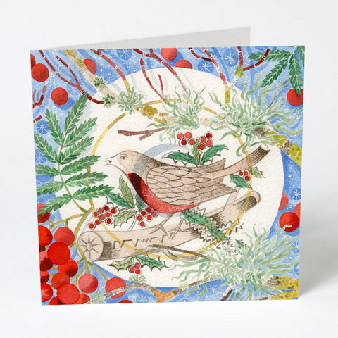 'Winter Bird and Berries' Christmas Card - pack of 6 cards