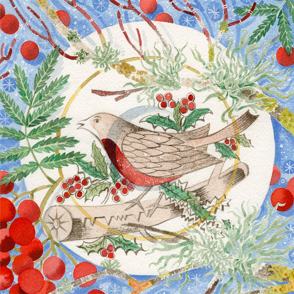 'Winter Bird and Berries' Christmas Card - pack of 6 cards