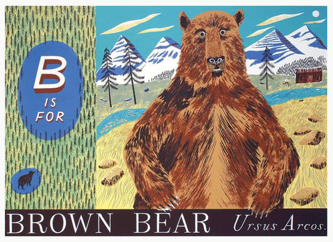 B is for Bear