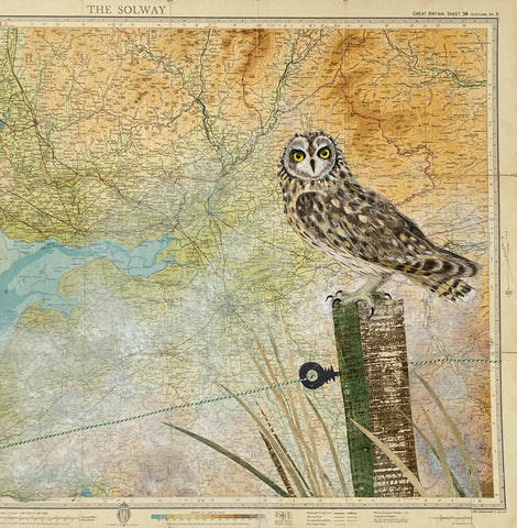 Alston Bog Owl