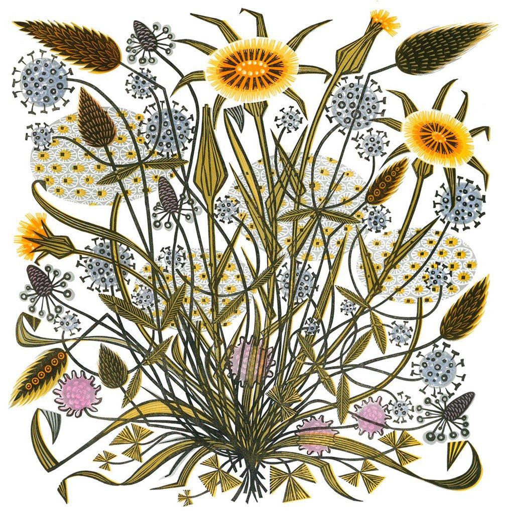 Goat's Beard and Grasses - Angie Lewin - St. Jude's Prints