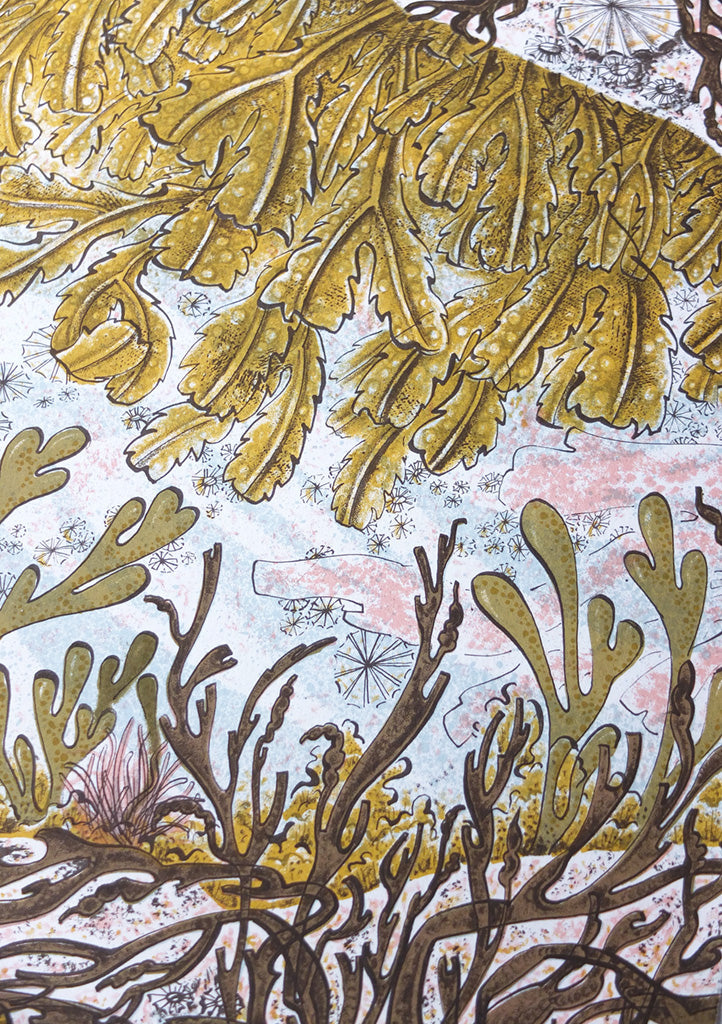 Rockpool - Angie Lewin - St. Jude's Prints