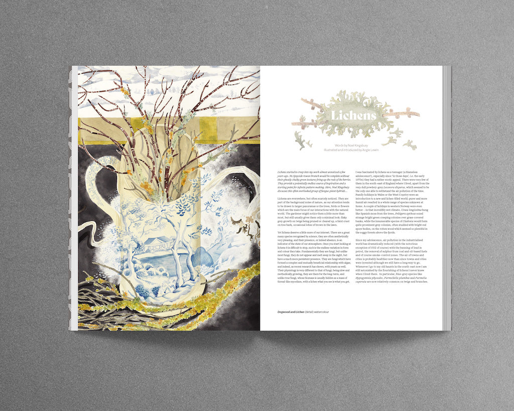 Oscillations / Issue 3