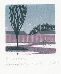 Brimstone - Jon McNaught - St. Jude's Prints