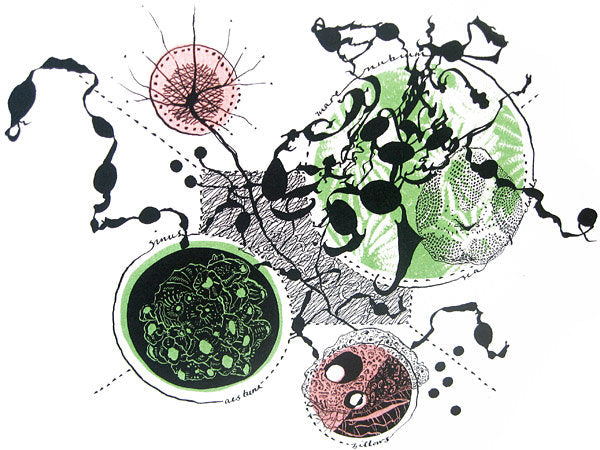 Heart Urchin - Julia McKenzie - St. Jude's Prints