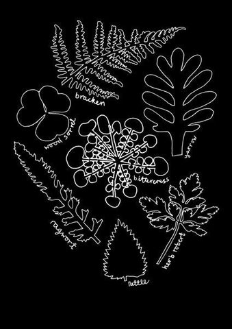 Some Common Weeds - Lucy Gough - St. Jude's Prints