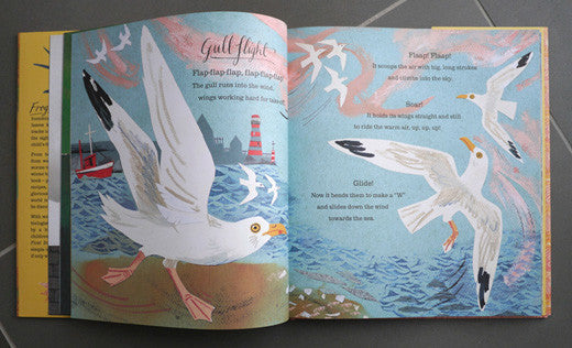 A First Book of Nature - Mark Hearld - St. Jude's Prints