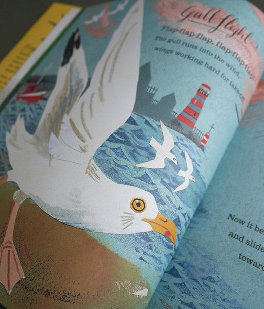 A First Book of Nature - Mark Hearld - St. Jude's Prints