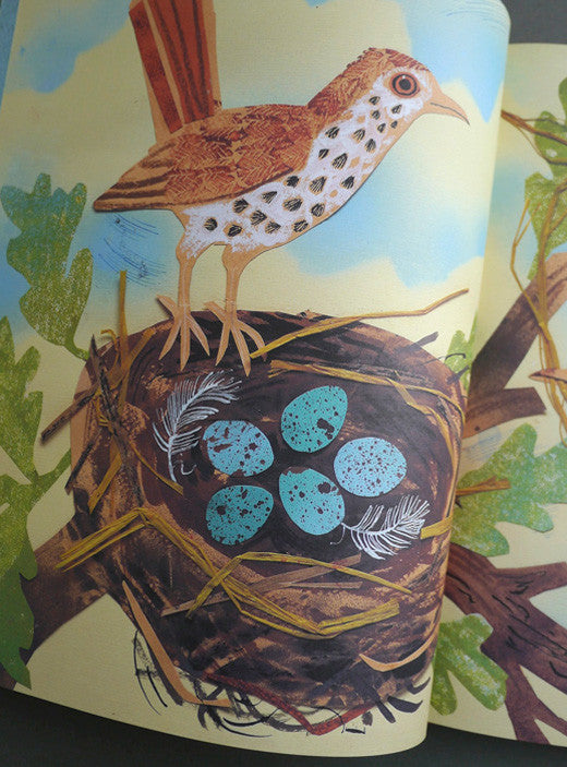 A First Book of Nature - Mark Hearld - St. Jude's Prints