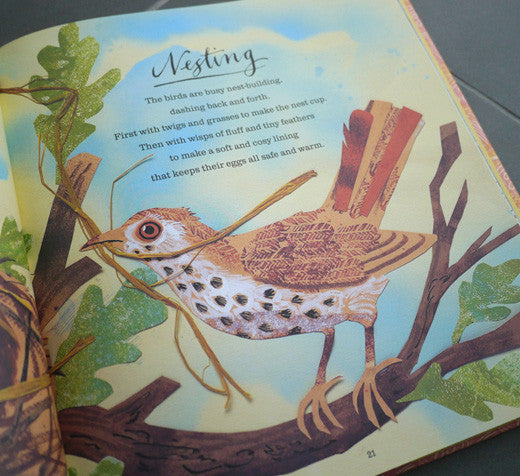 A First Book of Nature - Mark Hearld - St. Jude's Prints