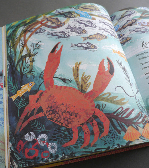 A First Book of Nature - Mark Hearld - St. Jude's Prints