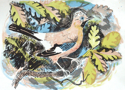 Jay - Mark Hearld - St. Jude's Prints