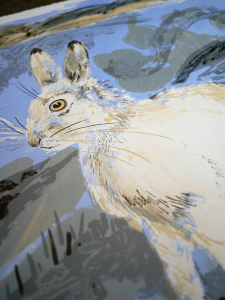 Mountain Hare - Mark Hearld - St. Jude's Prints