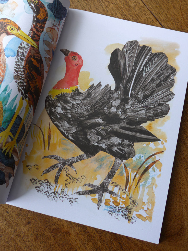 The Lumber Room: Unimagined Treasures - Mark Hearld - St. Jude's Prints