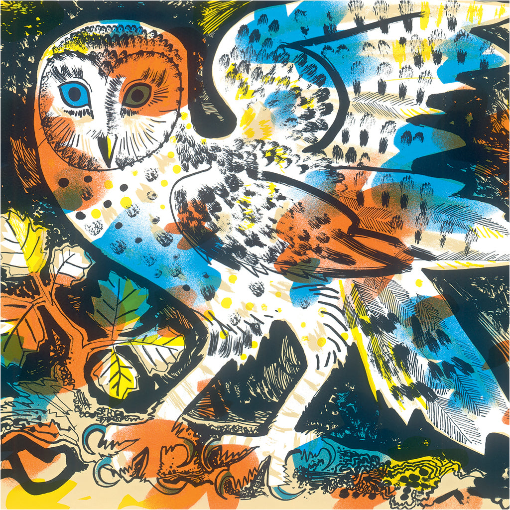 Owl Watching