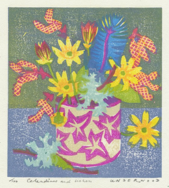 Celandines and Lichen - Matt Underwood - St. Jude's Prints