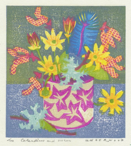 Celandines and Lichen - Matt Underwood - St. Jude's Prints