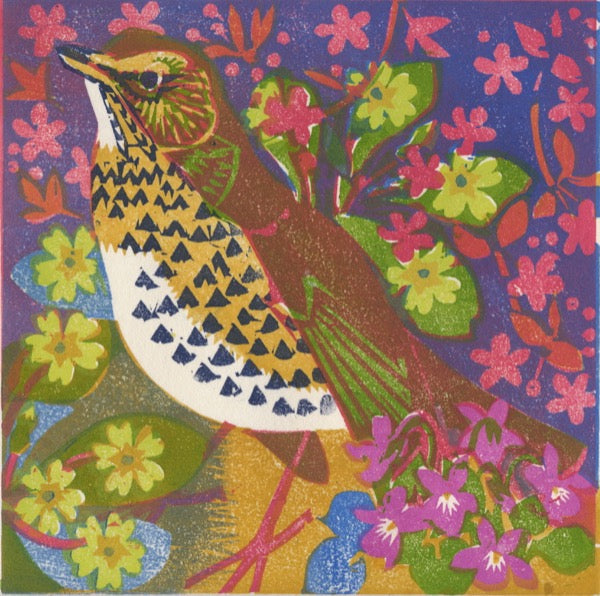 Song Thrush - Matt Underwood - St. Jude's Prints