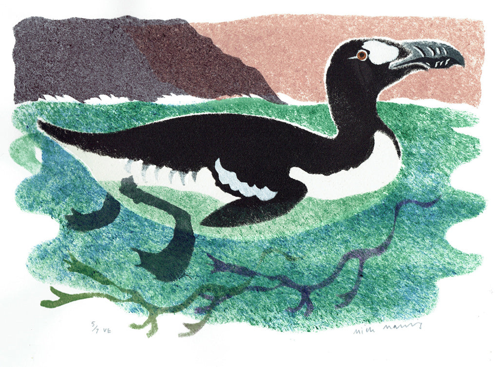 Great Auk - Mick Manning - St. Jude's Prints