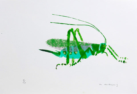 Great Green Bush Cricket 5/10 - Mick Manning - St. Jude's Prints