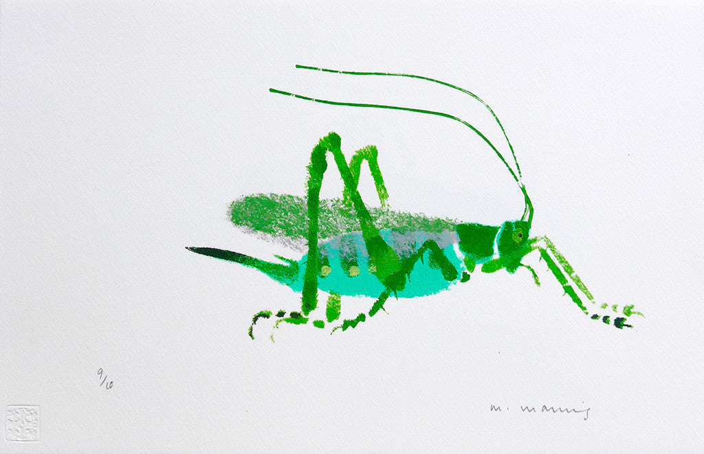 Great Green Bush Cricket 9/10 - Mick Manning - St. Jude's Prints