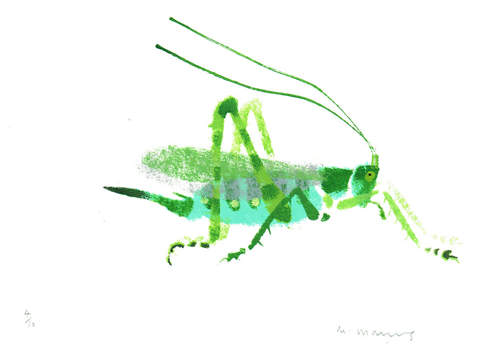 Great Green Bush Cricket - Mick Manning - St. Jude's Prints