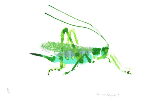 Great Green Bush Cricket - Mick Manning - St. Jude's Prints