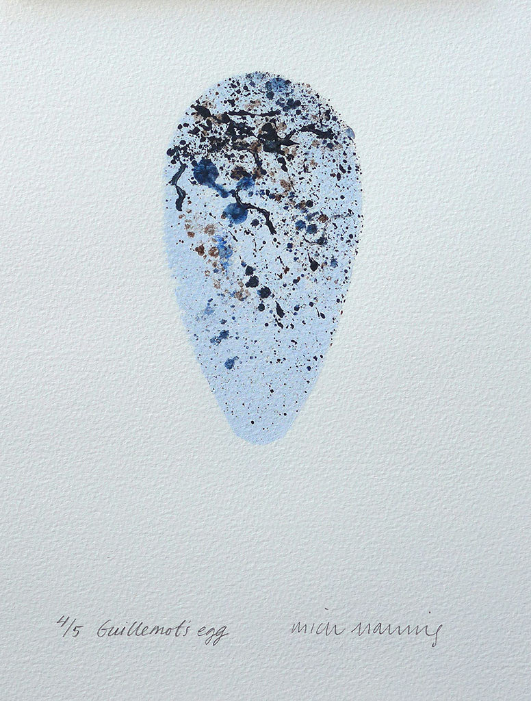 Guillemot's Egg 4/5 - Mick Manning - St. Jude's Prints