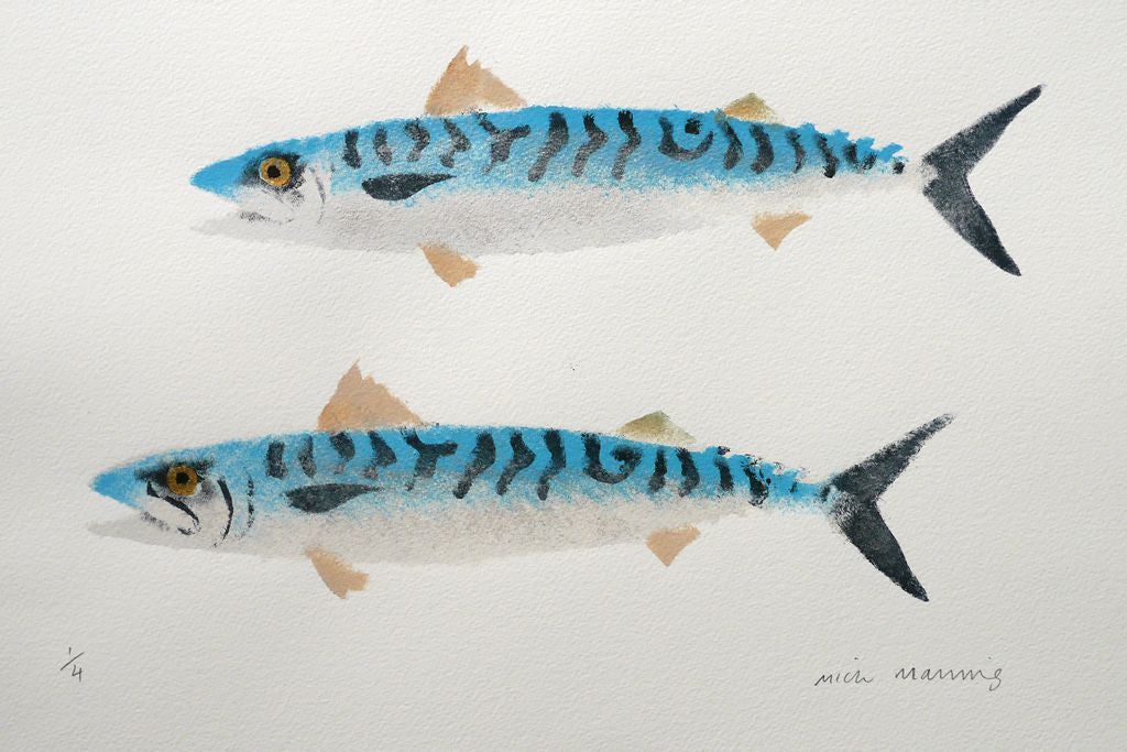 Mackerel 1/4 - Mick Manning - St. Jude's Prints