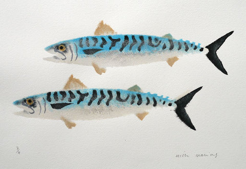 Mackerel 2/4 - Mick Manning - St. Jude's Prints