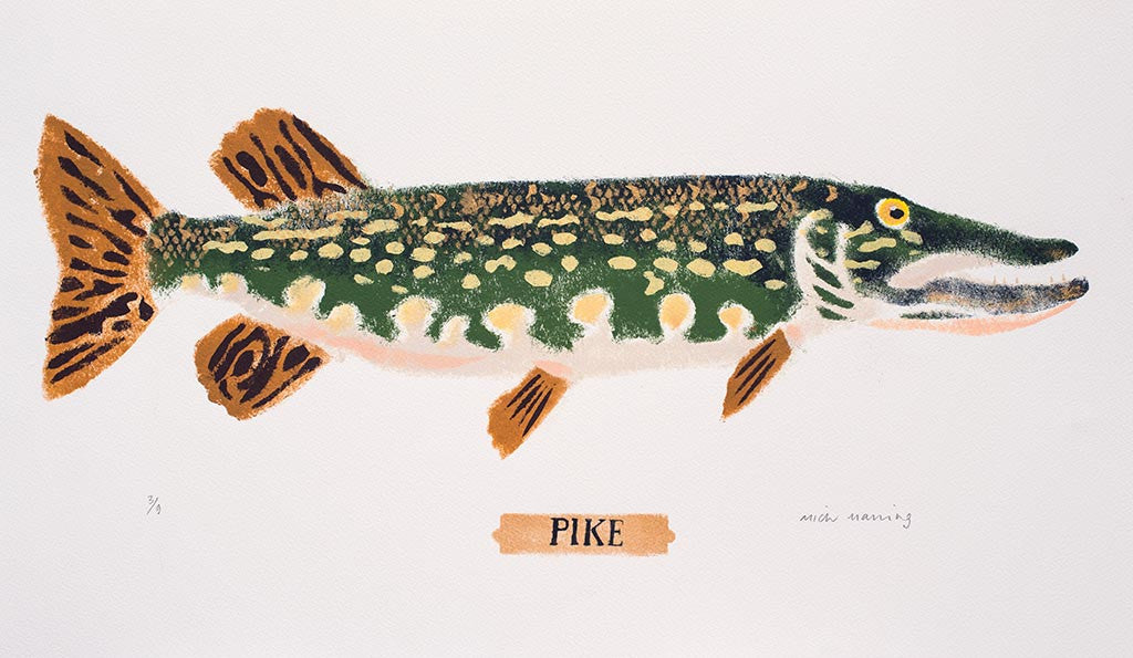 Pike 3/9 - Mick Manning - St. Jude's Prints