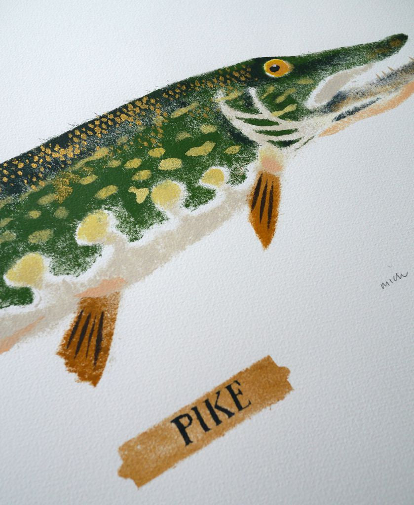 Pike 9/9 - Mick Manning - St. Jude's Prints