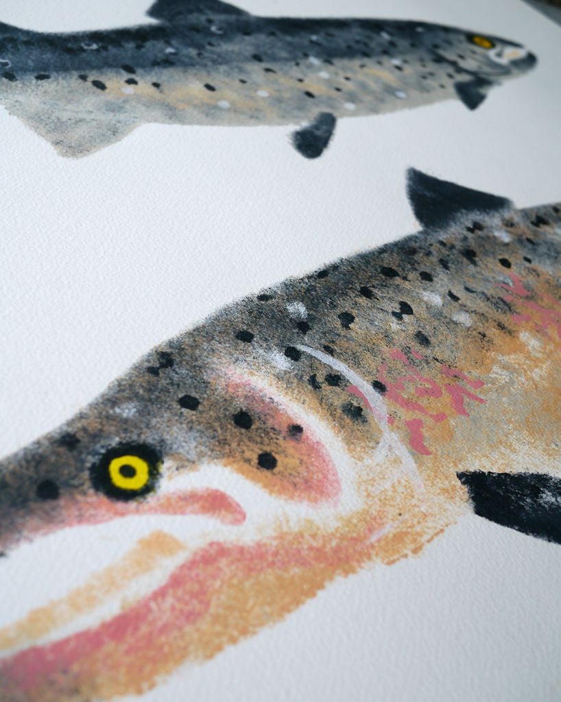 Sea Trout & Salmon 4/7 - Mick Manning - St. Jude's Prints