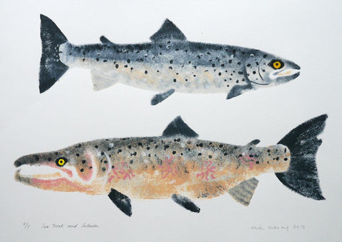 Sea Trout & Salmon 4/7 - Mick Manning - St. Jude's Prints