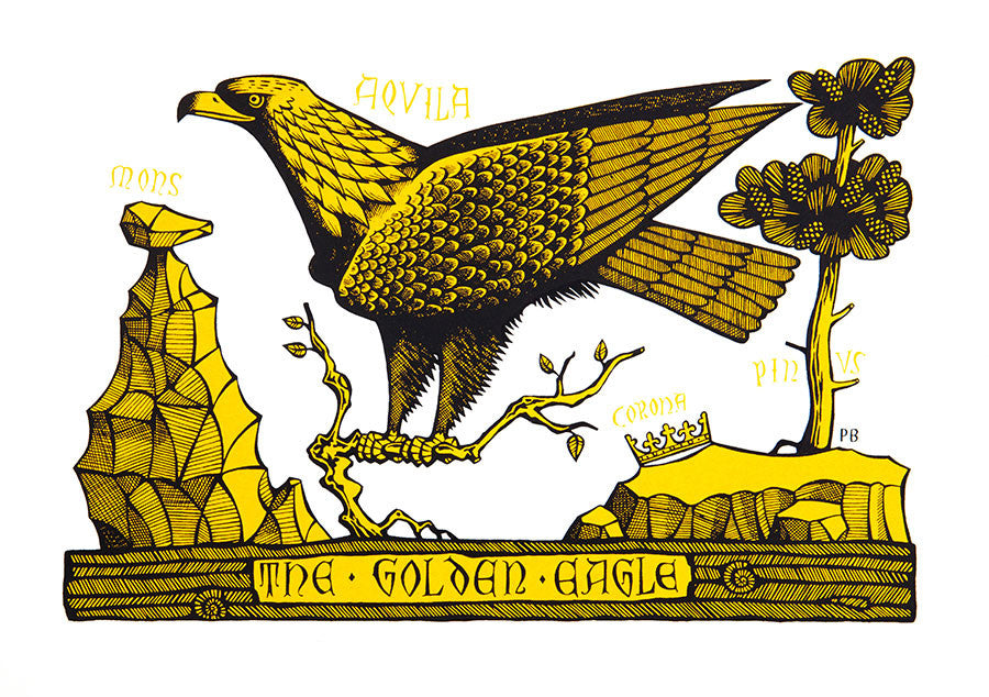 Golden Eagle - Paul Bommer - St. Jude's Prints