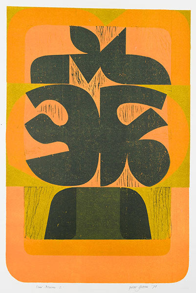 Sun Beacon 2 - Peter Green - St. Jude's Prints